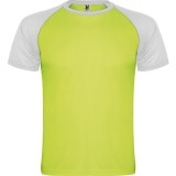 Camiseta Entrenamiento de Baloncesto ROLY Indianapolis CA6650-22201