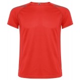 Camiseta Entrenamiento de Baloncesto ROLY Sepang 0416-60