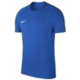 Camiseta Entrenamiento de Baloncesto NIKE Academy 18 893693-463