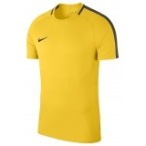 Camiseta Entrenamiento de Baloncesto NIKE Academy 18 893693-719