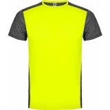 Camiseta Entrenamiento de Baloncesto ROLY Zolder CA6653-221243