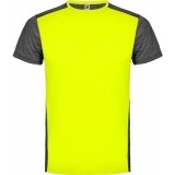 Camiseta Entrenamiento de Baloncesto ROLY Zolder CA6653-221243