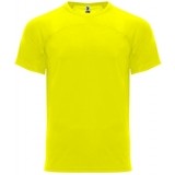 Camiseta Entrenamiento de Baloncesto ROLY Monaco CA6401-221