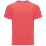 Camiseta Entrenamiento de Baloncesto ROLY Monaco CA6401-234