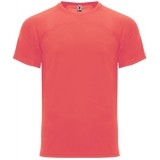 Camiseta Entrenamiento de Baloncesto ROLY Monaco CA6401-234