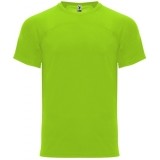 Camiseta Entrenamiento de Baloncesto ROLY Monaco CA6401-225