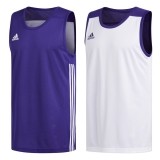 Camiseta de Baloncesto ADIDAS 3G Spee Reversible Dy6591