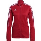 Chaqueta Chndal de Baloncesto ADIDAS Tiro 21 Training Jacket GM7305
