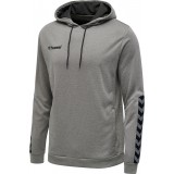 Sudadera de Baloncesto HUMMEL HmlAuthentic Poly Hoodie 204930-2006