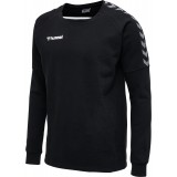 Sudadera de Baloncesto HUMMEL HmlAutenthic Training Sweat 205373-2114