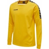 Sudadera de Baloncesto HUMMEL HmlAutenthic Training Sweat 205373-5001