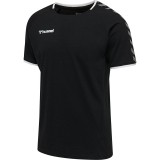Camiseta Entrenamiento de Baloncesto HUMMEL HmlAutenthic Training Tee 205379-2114