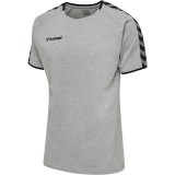 Camiseta Entrenamiento de Baloncesto HUMMEL HmlAutenthic Training Tee 205379-2006