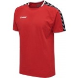 Camiseta Entrenamiento de Baloncesto HUMMEL HmlAutenthic Training Tee 205379-3062