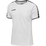 Camiseta Entrenamiento de Baloncesto HUMMEL HmlAutenthic Training Tee 205379-9001