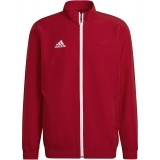 Chaqueta Chndal de Baloncesto ADIDAS Entrada 22 Pre H57536