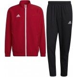 Chandal de Baloncesto ADIDAS Entrada 22 Pre P-H57536