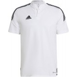 Polo de Baloncesto ADIDAS Condivo 22 H44106