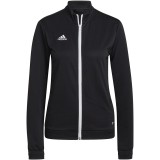 Chaqueta Chndal de Baloncesto ADIDAS Entrada 22 TK H57525