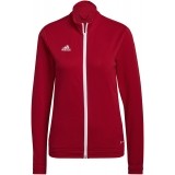 Chaqueta Chndal de Baloncesto ADIDAS Entrada 22 TK H57562