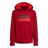 Sudadera de Baloncesto ADIDAS Y D.O.N. Hoodie HI0992-02