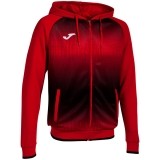 Chaqueta Chndal de Baloncesto JOMA Tiger V 103236.601